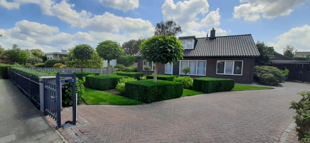 ad1ab583-be24-46b6-b4cc-fef29bbb2a7c